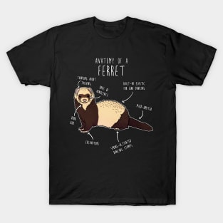 Anatomy of a Ferret T-Shirt